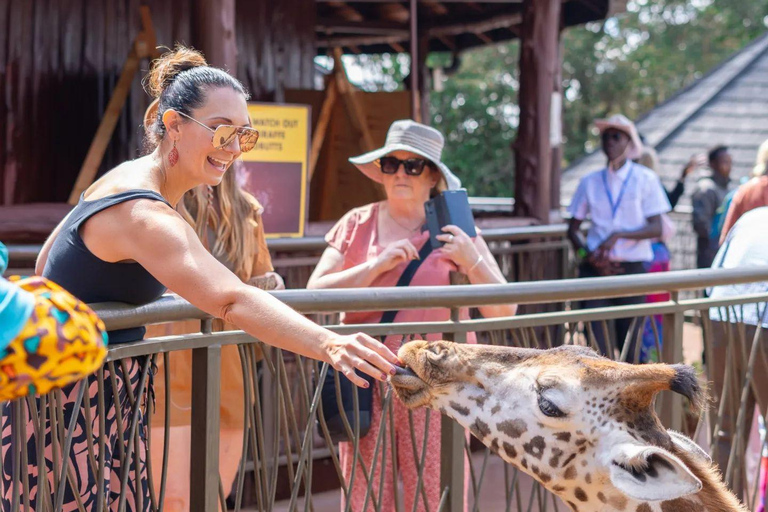 Nairobi Day Trip :Giraffe Centre and Elephant Orphanage Tour