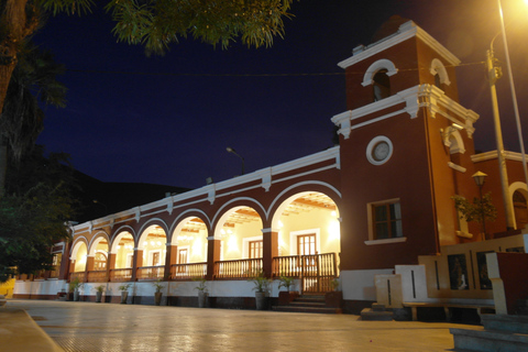 Explora el Desierto: Tour de Pisco y Vino desde Ica o Huacachina