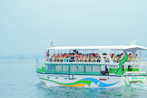 Mirissa: Whale Watching Luxury Super Grade Cruise Tour