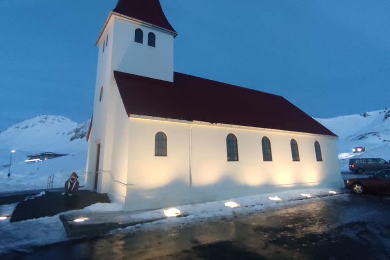 Reykjavik: Northern Lights, Golden Circle, South Coast Tour