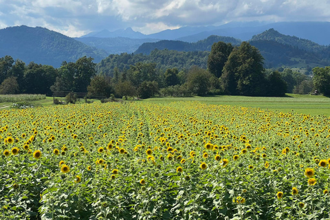 Bled: Mountain Bike Rental