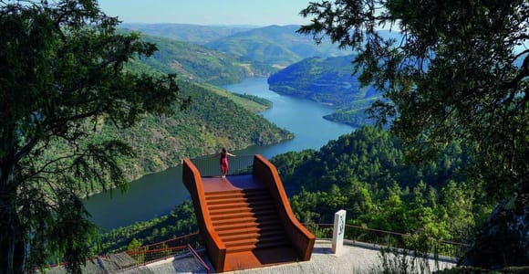Douro-Tal: Kreuzfahrt & Entdeckung der Weinberge ab Porto oder Aveiro