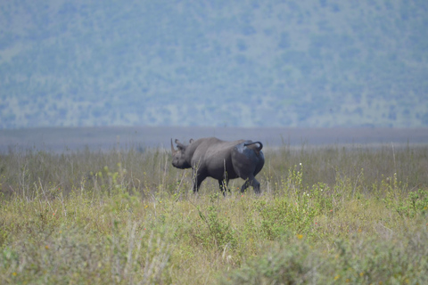 Arusha: 5-tägige Serengeti, Ngorongoro und Kilimandscharo Safari