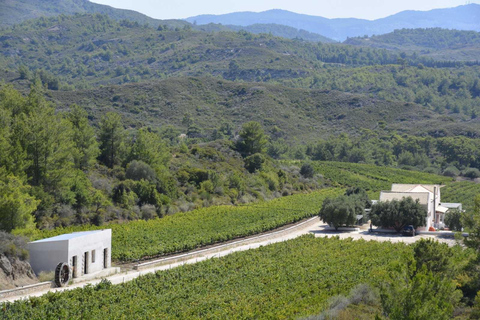 Rhodes: Filerimos & Valley of the Butterflies & Wine Tasting Tour With Pick up From FALIRAKI & KALLITHEA