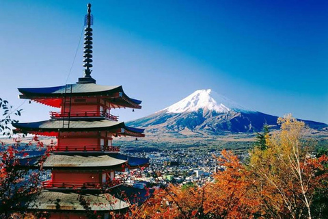 Från Tokyo: Fuji-berget eller Hakone Sightseeing Privat dagstur