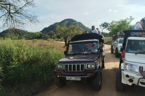 Kandy; Dagstur till Sigiriya &amp; Elefantsafari