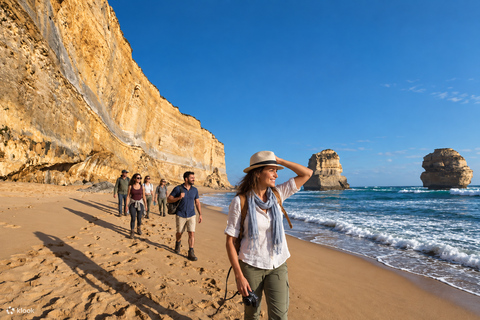 Melbourne: Great Ocean Road Tour, 12 Apostles & Apollo Bay Melbourne CBD Meeting Point (Max 50 guests)