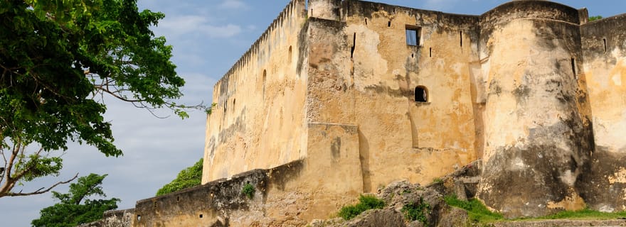 Visite d'une demi-journée de la ville de Mombasa