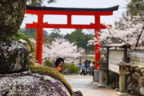 Kyoto Uji: Matcha Tea Ceremony, Tea Museum & Byodoin Temple Kyoto: Uji: Matcha Tea Ceremony, Tea Museum & Byodoin Temple