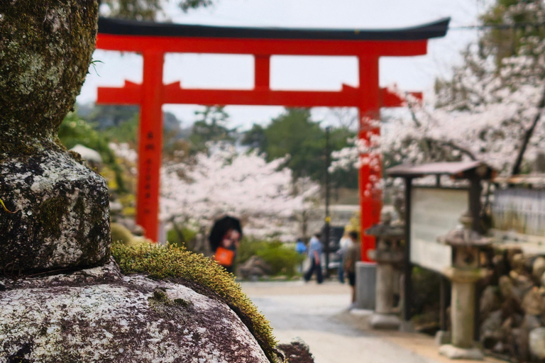 Kyoto Uji: Matcha Tea Ceremony, Tea Museum & Byodoin Temple Kyoto: Uji: Matcha Tea Ceremony, Tea Museum & Byodoin Temple
