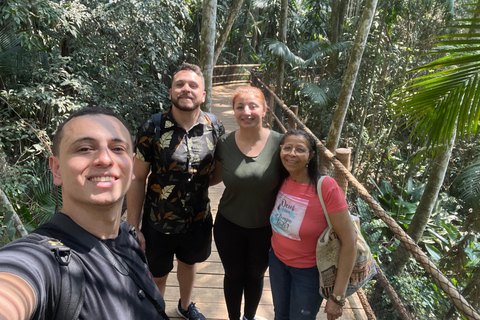 圣保罗：植物园与生物学家导览游（周末）生物学家带你游览圣保罗植物园