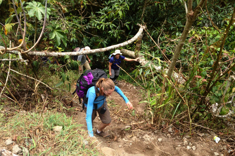 4 Days Inca Jungle Adventure to Machu Picchu