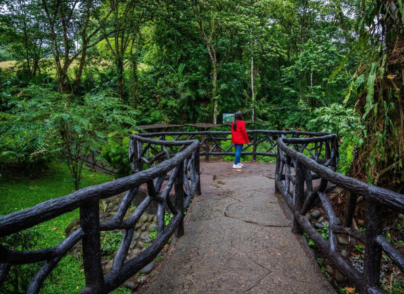 La Fortuna: Guidet tur med hængende broer i Mistico Park