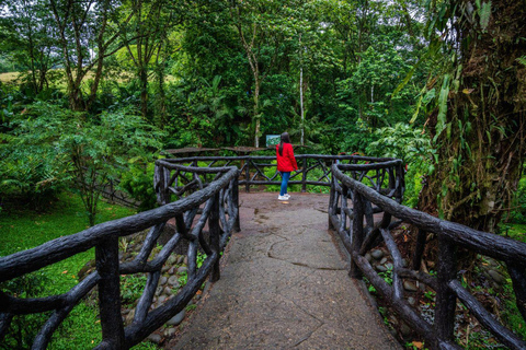 Hanging Bridges Walk in Arenal Volcano