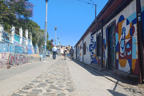 Tour esclusivo della costa: Valparaiso, Viña del Mar e Reñaca