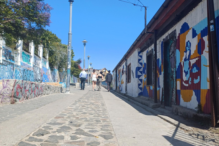 Tour esclusivo della costa: Valparaiso, Viña del Mar e Reñaca