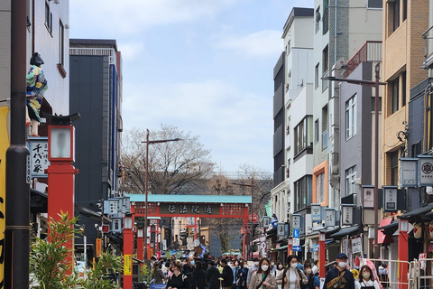 One Day Private Tour of Tokyo Famous Places