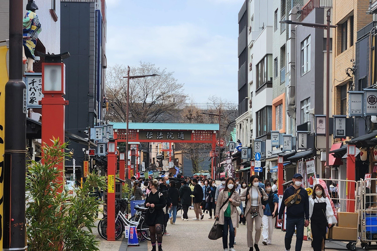 Tour privado de un día por los lugares famosos de TokioVisita Privada de un Día a los Lugares Famosos de Tokio