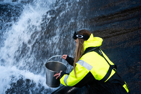 Bergen: Modalen RIB Fjord Safari with Lunch & Transfer