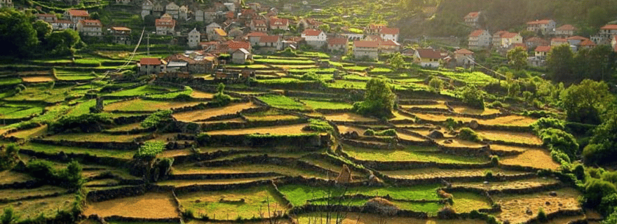 Visite du parc national de Peneda-Gerês avec un guide local
