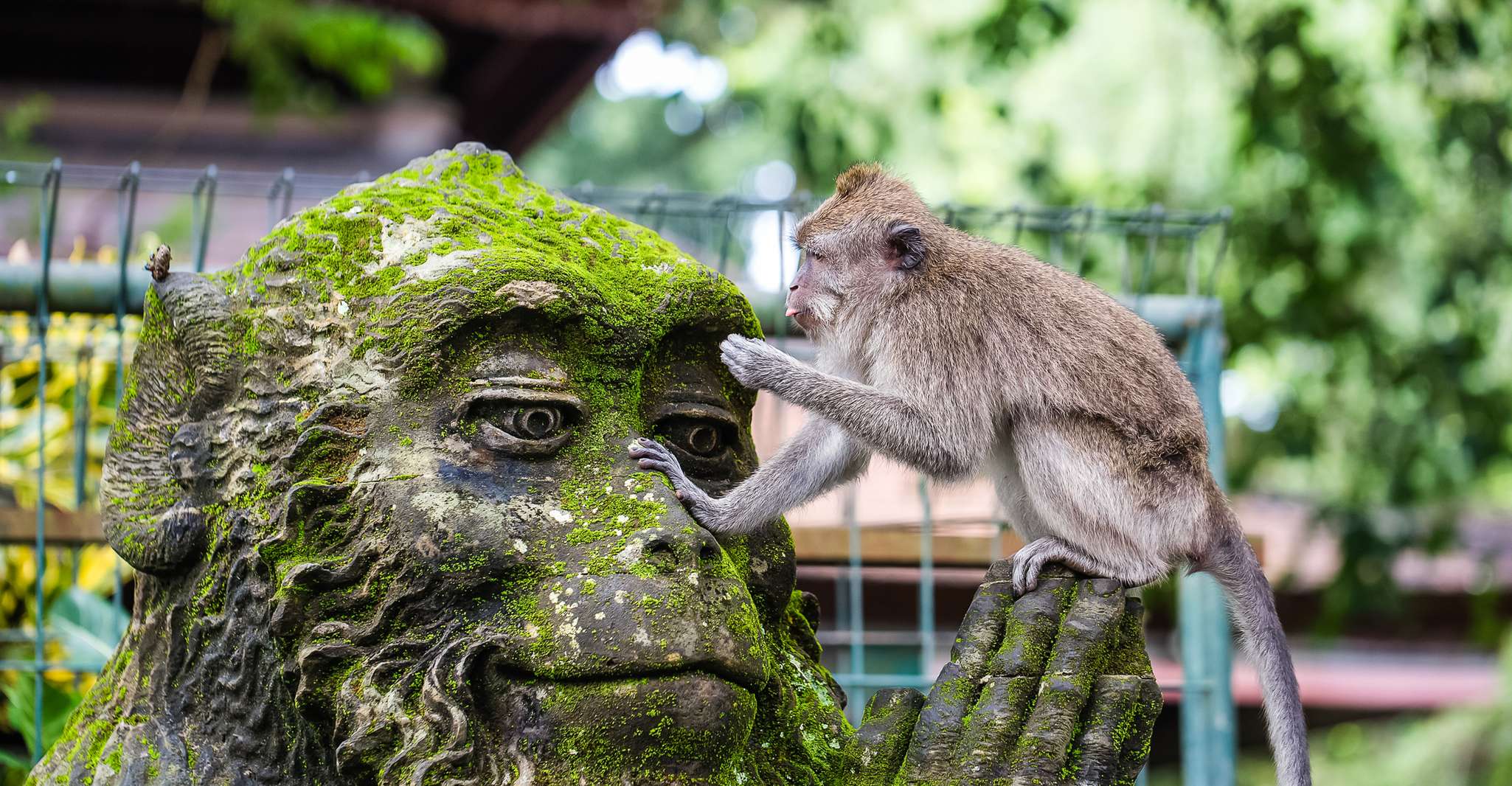Ubud, Wasserfall, Reisterrassen & Monkey Forest Private Tour - Hizvo