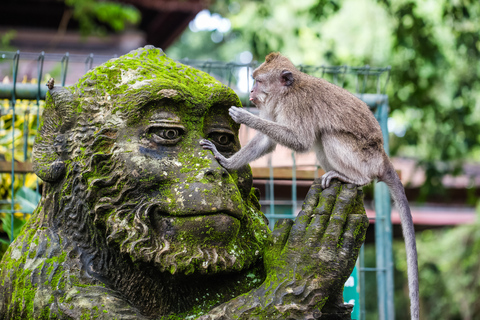 Ubud: Privat rundtur i vattenfall, risterrasser och apskogPrivat tur av Ubud med lunch