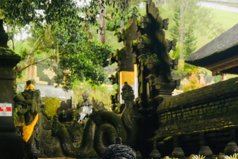 Ubud: Private Half-Day Tour Rice Terrace, Temple & Waterfall Private Ubud Half-Day Tour (Without Entrance Ticket)