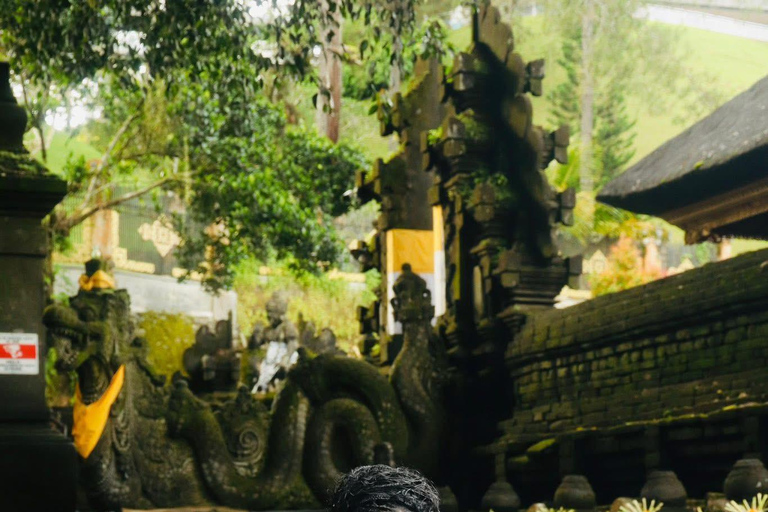 Ubud: Private Half-Day Tour Rice Terrace, Temple & Waterfall Private Ubud Half-Day Tour (Without Entrance Ticket)