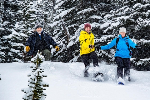 Canadian Rockies: malownicza zimowa wycieczka helikopterem i rakietami śnieżnymi20-minutowy lot helikopterem i 1-godzinna przygoda w rakietach śnieżnych