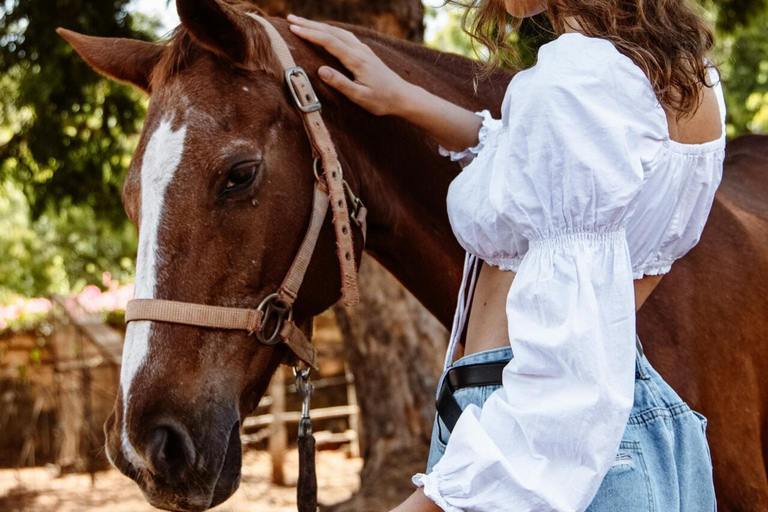 Cebu, Philippines: Horseback Riding Tour with BBQ Lunch 2h Cebu, Philippines: Horseback Riding Tour with BBQ Lunch