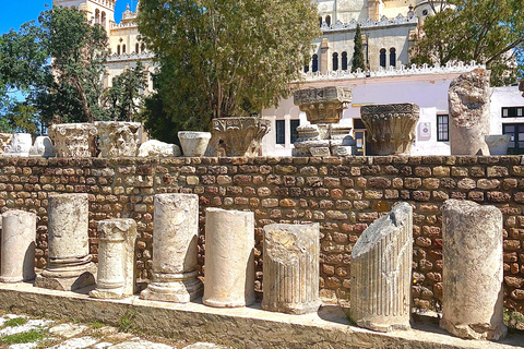 Tunis: Medina, Carthage, & Sidi Bou Said Private Tour Pick-up From: Sousse, or Monastir
