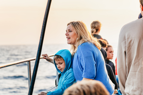 Port d&#039;Alcudia: Soluppgång till havs och båttur med delfinskådning