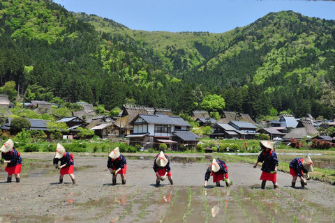 Kyoto: Miyama Village, Amanohashidate, and Ine Bay Day Trip