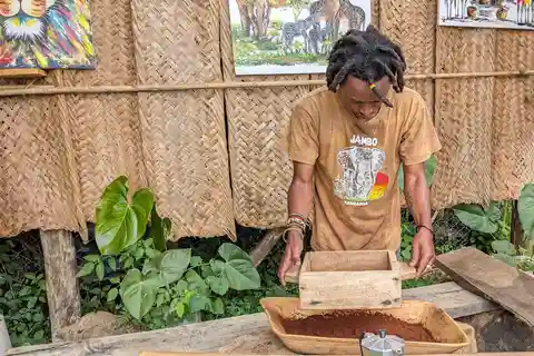 Desde Arusha: Excursión a la Granja de Café y las Cascadas de Mangalia