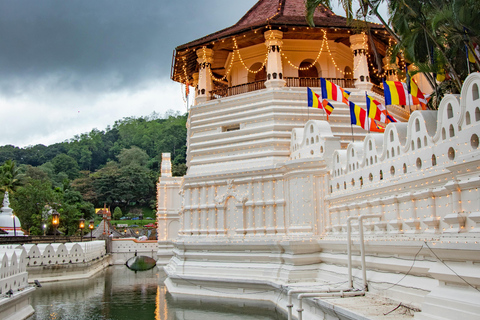 Visite de Colombo à Kandy, Pinnawela et la fabrique de thé