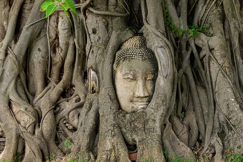 Bangkok to Ayutthaya, Big Buddha Monkey Temple & Hidden Cafe