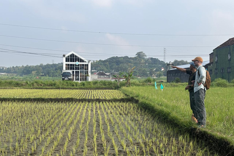 Yogyakarta: Bike Tour, Pottery, Ricefield, Museum With Lunch Bike, Pottery Class, Rice fields, Museum (No Lunch)
