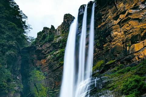 Colombo to Aberdeen Falls Train Tour with private vehicle