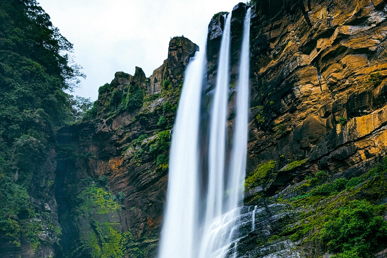 Colombo to Aberdeen Falls Train Tour with private vehicle