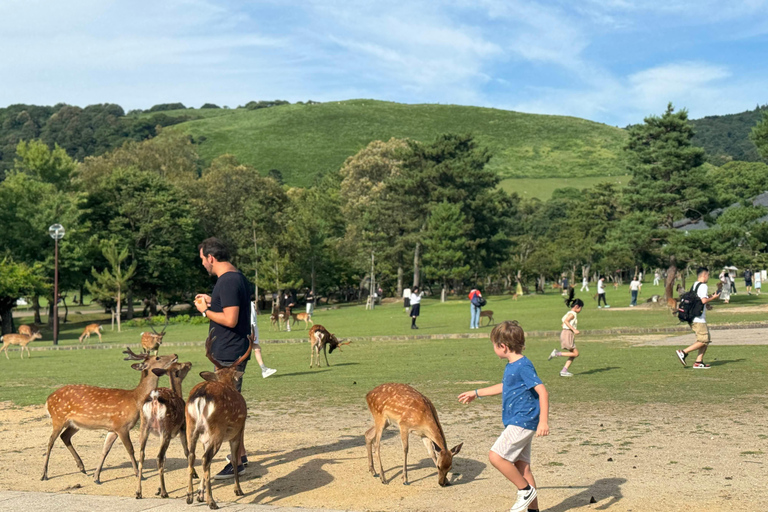 Nara: Private Custom Walking Tour with Local Guide 8-Hour
