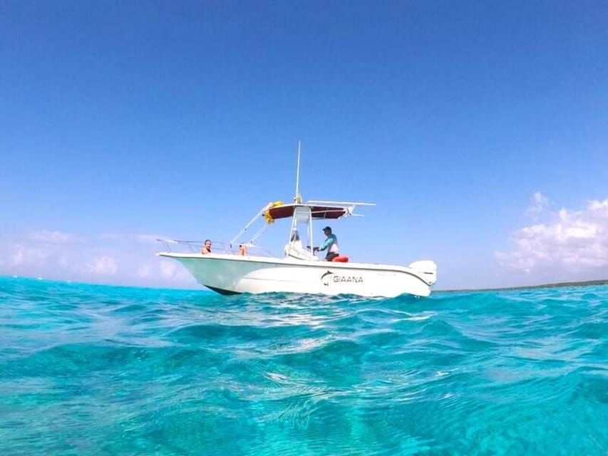 Cozumel Private Snorkel Trip to El Cielo with Beach Club GetYourGuide