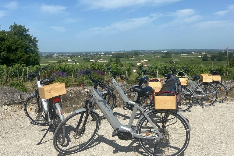 Bordeaux: Tour in bicicletta dei vigneti di St-Emilion con vino e pranzoBordeaux: tour in e-bike dei vigneti di St-Emilion con vino e pranzo