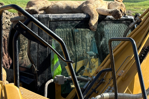 4-Days Group Safari Tour Tarangire, Serengeti & Ngorongoro 4-Days Group Safari Tarangire, Serengeti & Ngorongoro