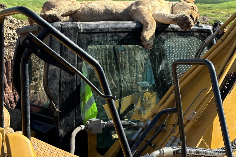 4-Days Group Safari Tour Tarangire, Serengeti & Ngorongoro 4-Days Group Safari Tarangire, Serengeti & Ngorongoro