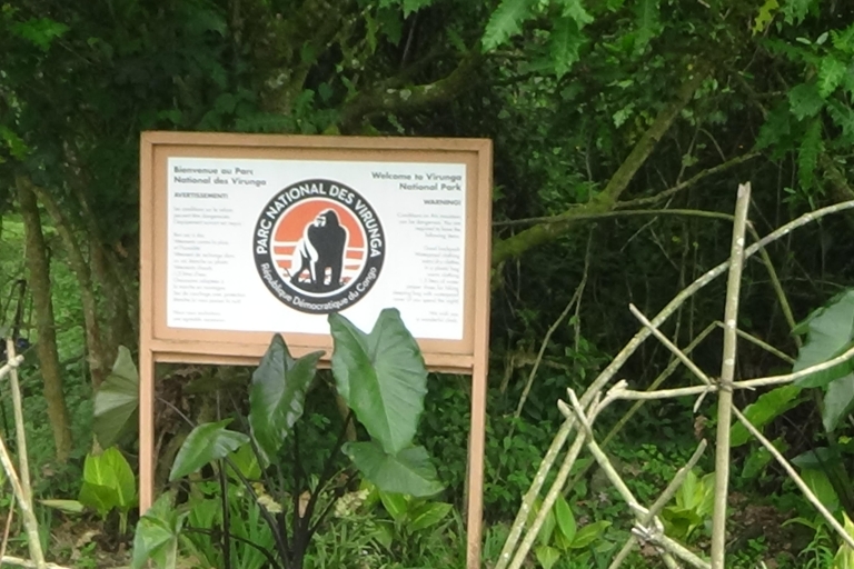 4 Tage Kongo (DRC) Gorilla Trekking & Nyiragongo Wanderung