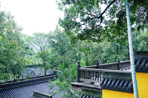 Hangzhou: West Lake, Lingyin Temple & Tea Village Group Tour