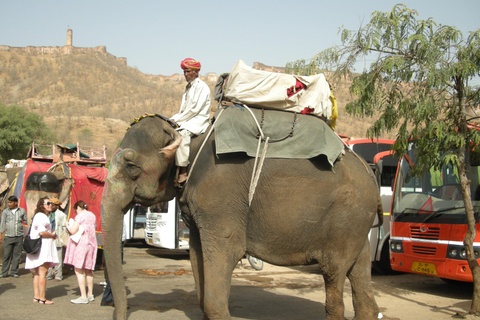 Jaipur: Amber Fort, Stadtpalast und Hawa Mahal Tagestour