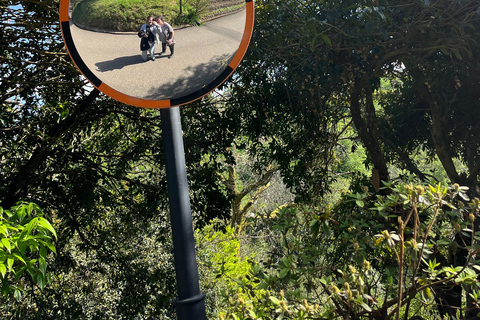 Batumi: Experiência Supra georgiana com moradores locais e almoçoBatumi: experiência georgiana com os locais e almoço