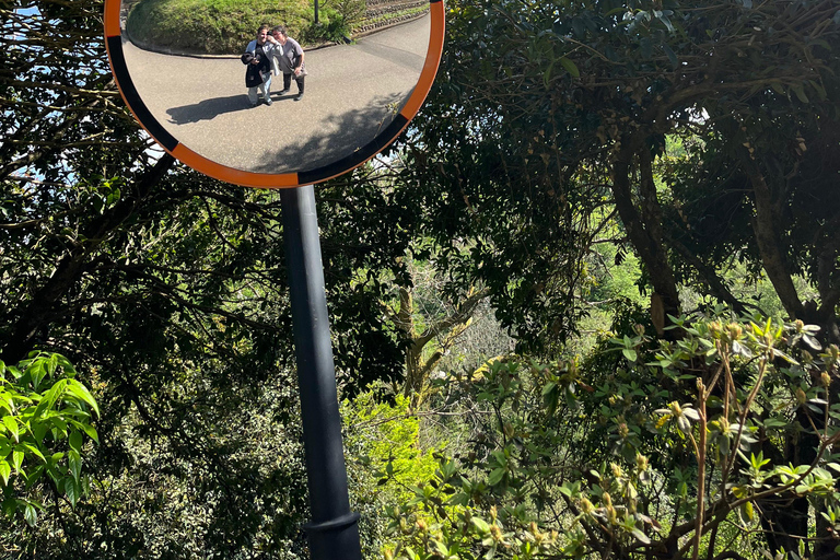 Batumi: Experiência Supra georgiana com moradores locais e almoçoBatumi: experiência georgiana com os locais e almoço