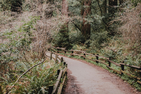 San Francisco: Muir Woods, Pacific Coast & Sausalito Tour
